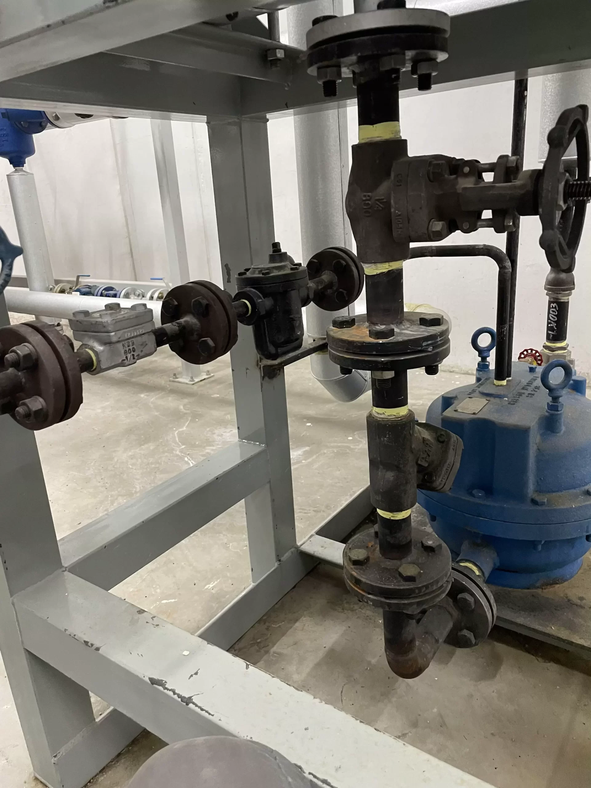 Ingeniería e instalación de Piping vapor y condensador planta Avenatop Coihue