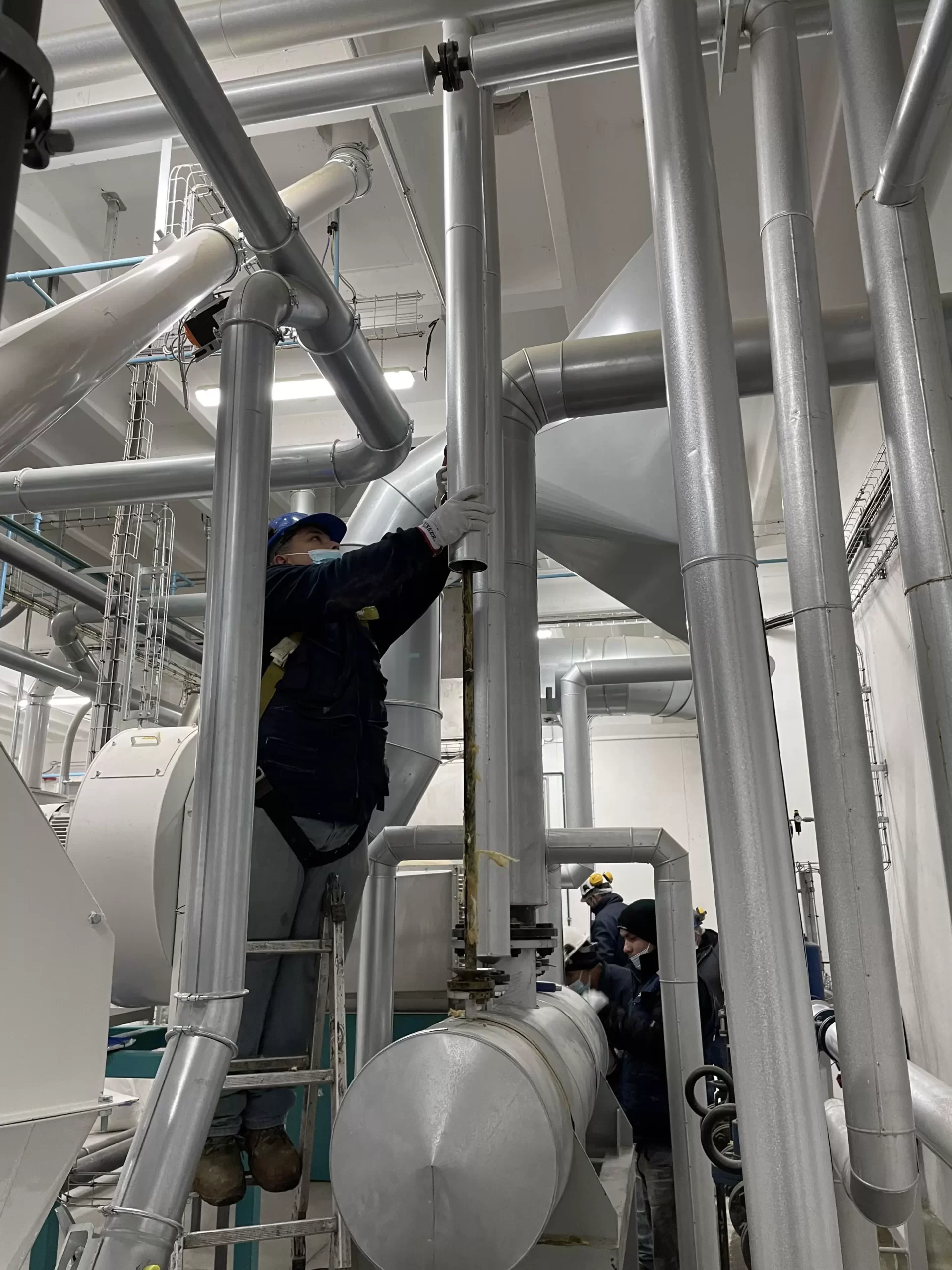 Ingeniería e instalación de Piping vapor y condensador planta Avenatop Coihue