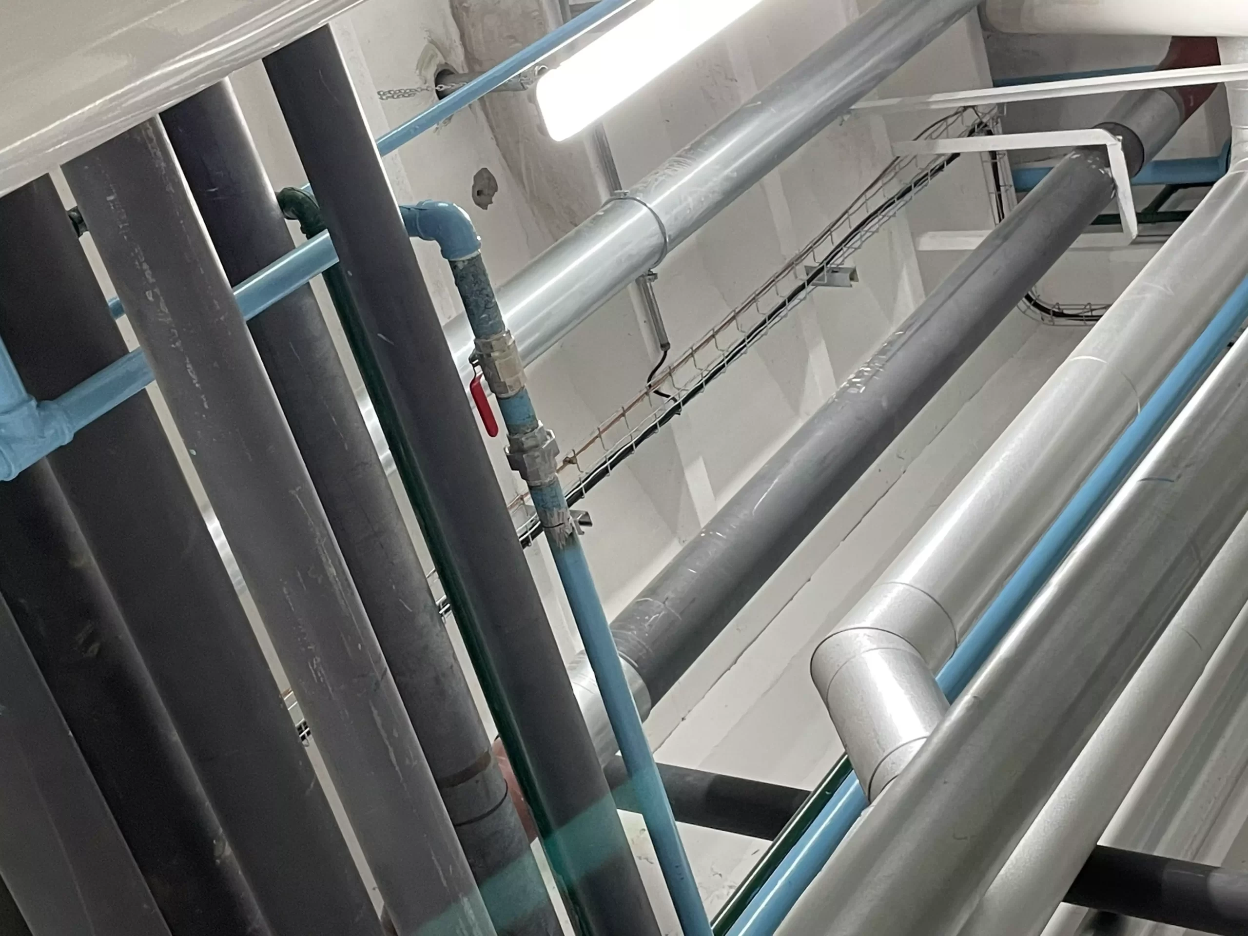 Ingeniería e instalación de Piping vapor y condensador planta Avenatop Coihue